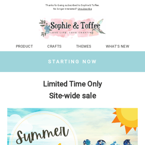 Summer Sale Limited Time Only!