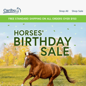 Don't Miss Our Horses' Birthday Sale 😍