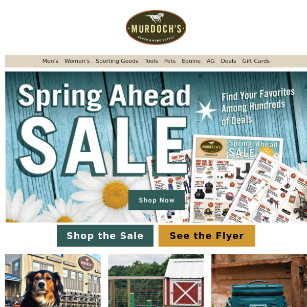 Spring Ahead Sale + Fresh Season, Fresh Deals!