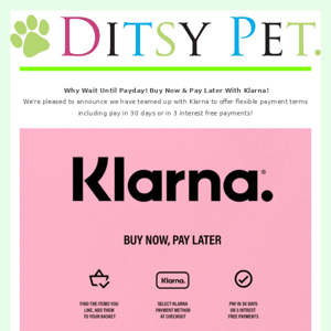 🐶 Klarna | Why Wait Until Pay Day...