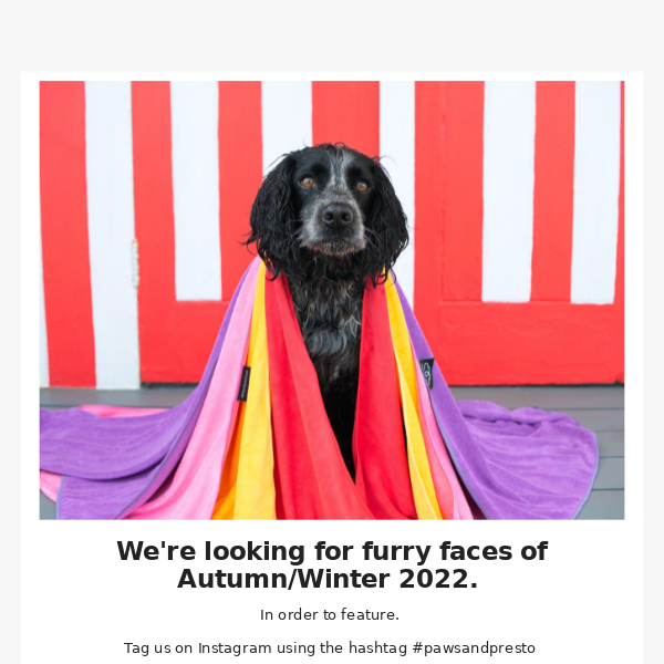 We're looking for furry faces this Autumn/Winter 22