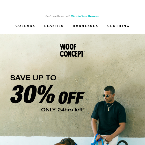 Catch the last wave of savings for your pup! 🛍️👀