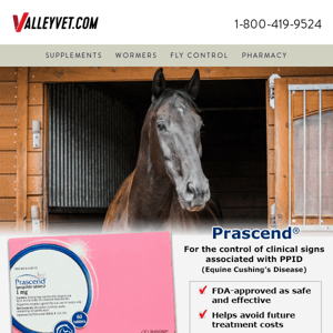 Manage these common equine conditions