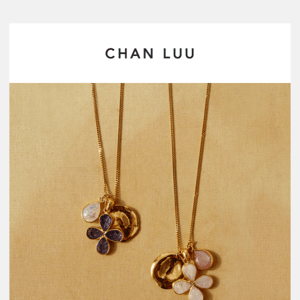 NEW: Chan Luu Rewards