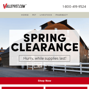 Ultimate Spring Savings - Save Now!