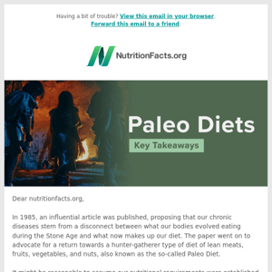 Takeaways on Paleo Diets and a New Recipe