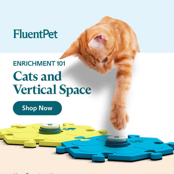 Cats and Vertical Space