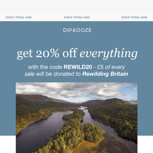 Get 20% off everything