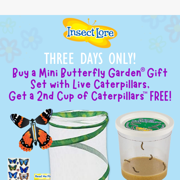 2 Cups 2 Curious! 🐛 - Insect Lore