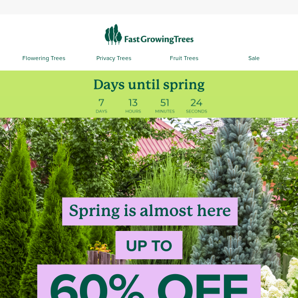 Fast Growing Trees, save up to 60%