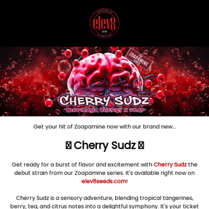 🍒 Introducing Cherry Sudz: First in our Zoapamine Series! 🚀