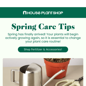 Spring Care Tips 💐✨