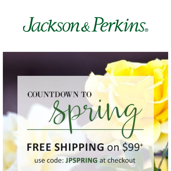 Spring Savings Have Sprung at Jackson & Perkins!