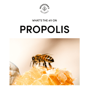 The Power of Propolis