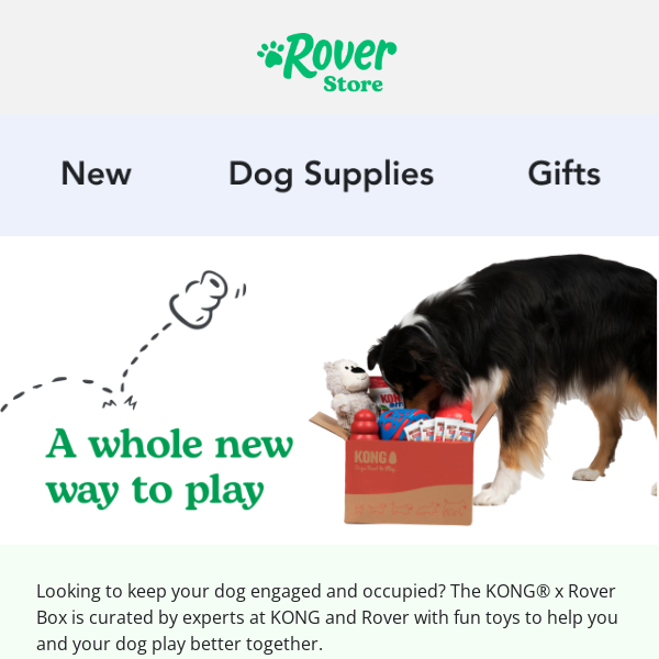 Pup need new toys? Try this play box from Rover and KONG