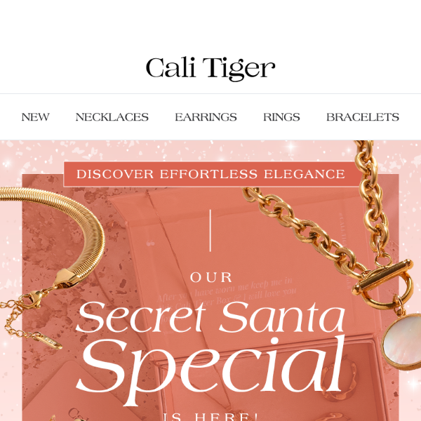 Hi  there! Our Secret Santa Special is Here!