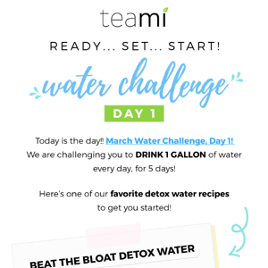 Teami Blends, Our FREE Water Challenge Starts NOW!