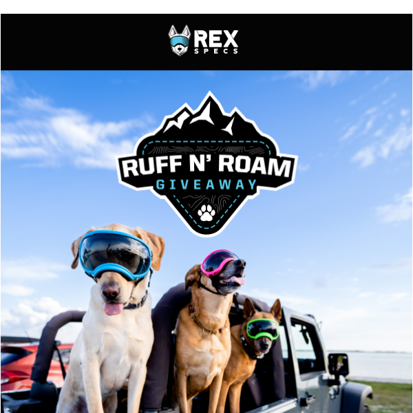 Ruff n' Roam Giveaway: Enter For A Chance to Win Over $2500 In Prizes
