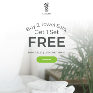 Free Towel Set w/ Purchase of 2 Sets