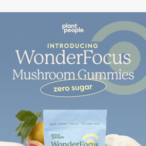 Meet WonderFocus Mushroom Gummies!