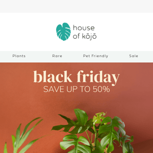 Our BLACK FRIDAY sale has arrived! 🖤🌿