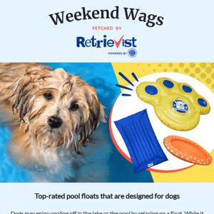 Your canine companion can cool off in style on dog-friendly pool floaties