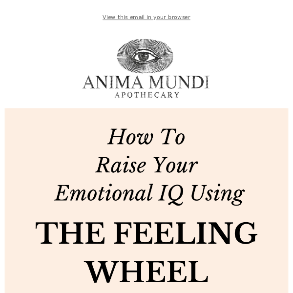 6 Ways To Raise Your Emotional IQ Using The Feeling Wheel