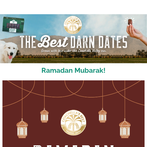 Ramadan Mubarak🌙✨