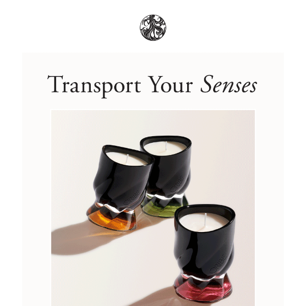 Transport Your Senses | 20% Off Ends Soon