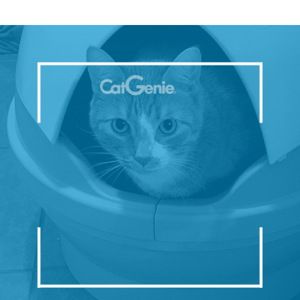 🙀 All CatGenie A.I. Packages are On Sale!