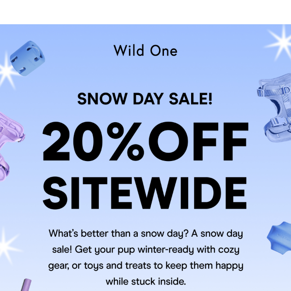 20% Off Sitewide ❄️