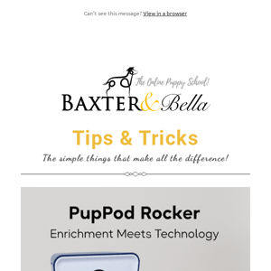 Need an interactive toy for your dog?