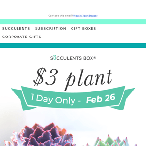 Don't miss out! Grab a plant for just $3
