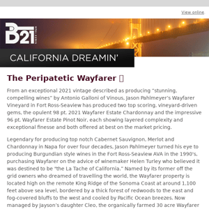 The Peripatetic Wayfarer 👣