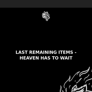 LAST REMAINING ITEMS - HEAVEN HAS TO WAIT