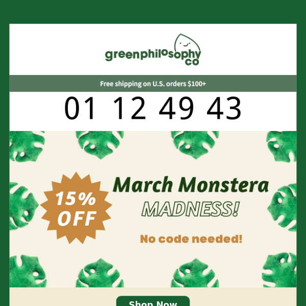 ⚠️ 15% OFF MONSTERA PLUSHIES ENDING ⚠️