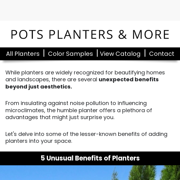 👀 5 Unusual and Overlooked Benefits Of Planters