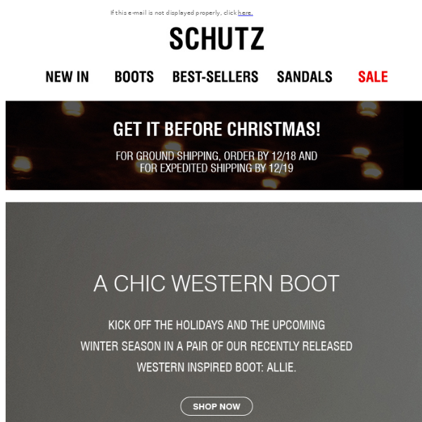 New In Western Boots & Booties