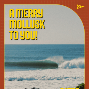 A Merry Mollusk To You!