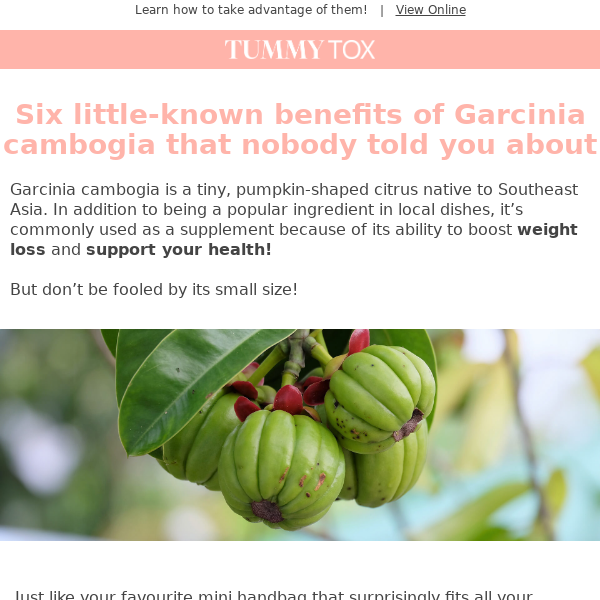 Six little-known benefits of Garcinia cambogia that nobody told you about 🤫