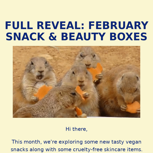 💕 February Vegan Boxes: Full Reveals 💕