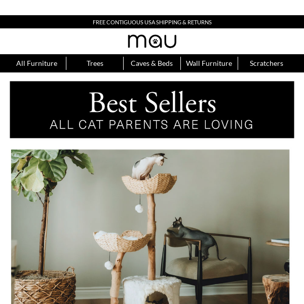 Our Best Sellers: The Perfect Furniture For You & Your Fur-baby