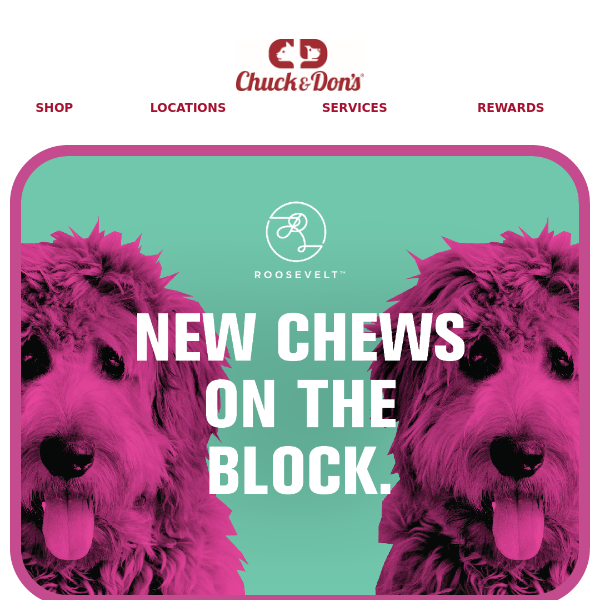 Your dog's favorite chew is here