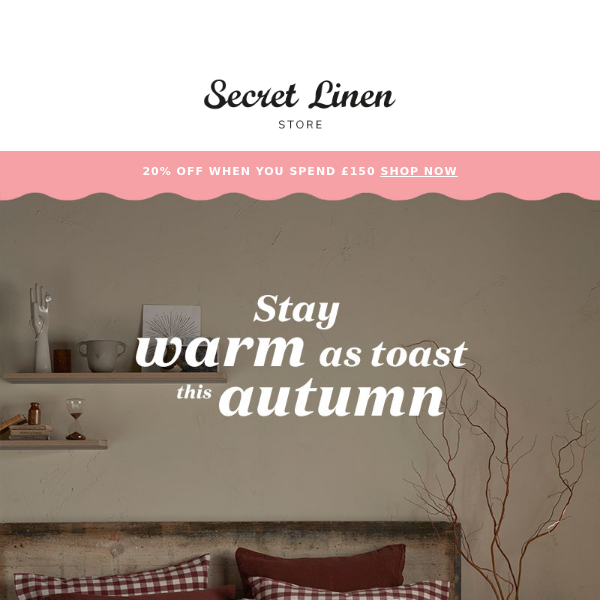 Autumn Nights Special: Get 20% Off on Brushed Cotton Bedding!