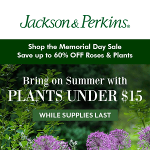 📢 Just Dropped – Plants Under $15
