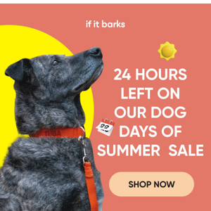 🐾 ENDS SOON! Less than 24 Hours Left in Our Dog Days of Summer Sale! ⏲️