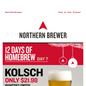 A Crisp Kolsch 40% Off Today Only!