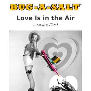 Valentine's Day Sale! 💘 Passion Assassin 3.0 - $34.95! BUG-CAM $9.95!