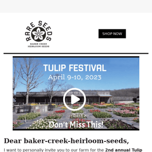 2nd annual Tulip Festival & Heirloom Fair April 9-10, 2023!