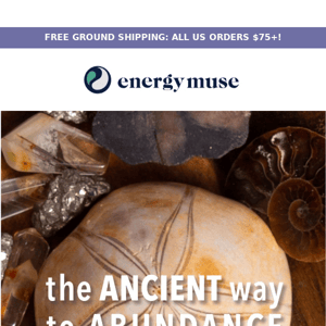 Ancient Abundance: new fossils + more 🔱 💰 🔮
